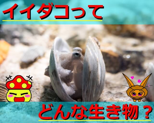 Thumbnail of post image 197